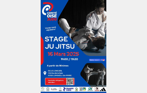 Stage Ju Jitsu 16 Mars 2025